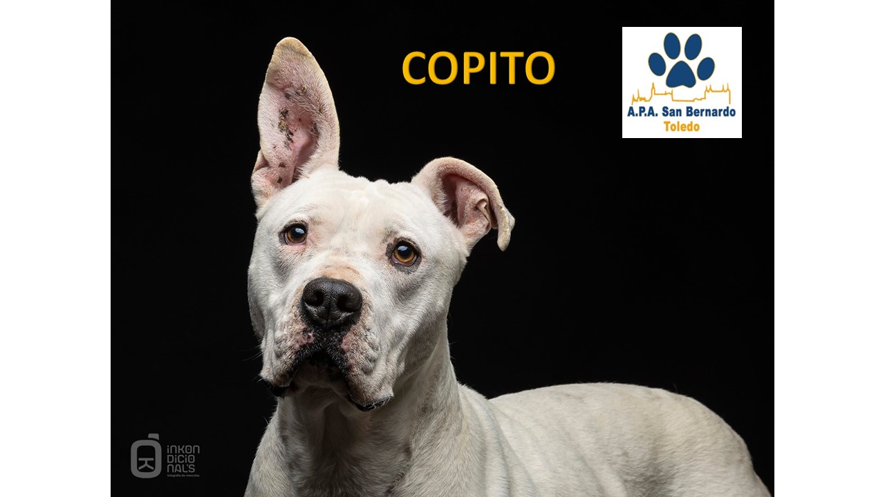 COPITO