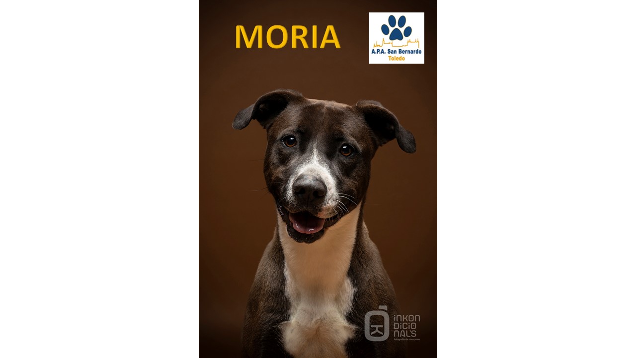 MORIA