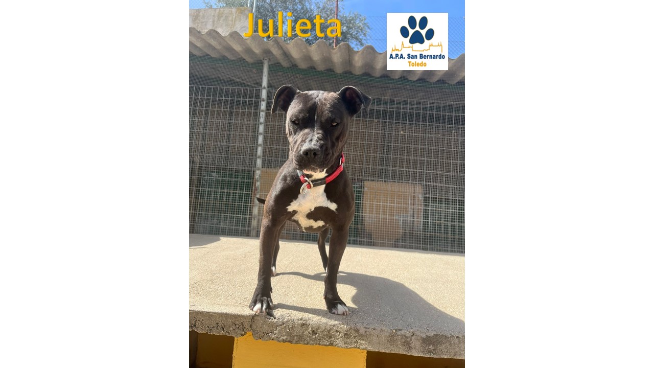 JULIETA