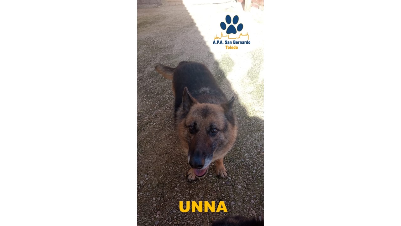 UNNA